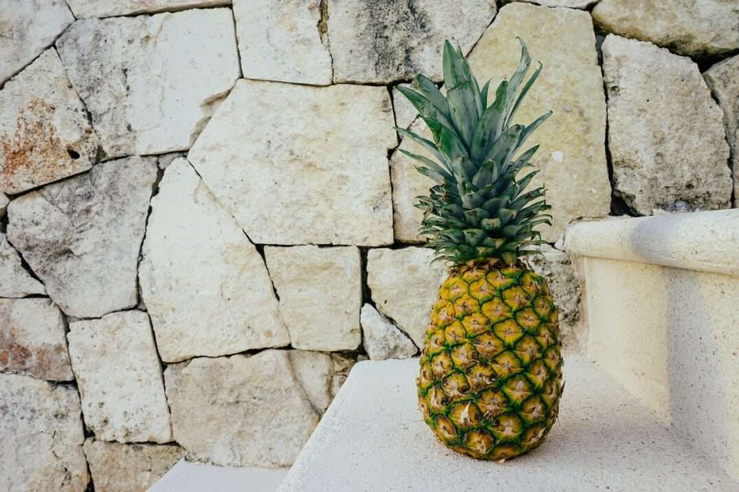 Bromelain from Pineapples